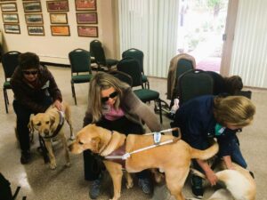 Guide dog first aid training